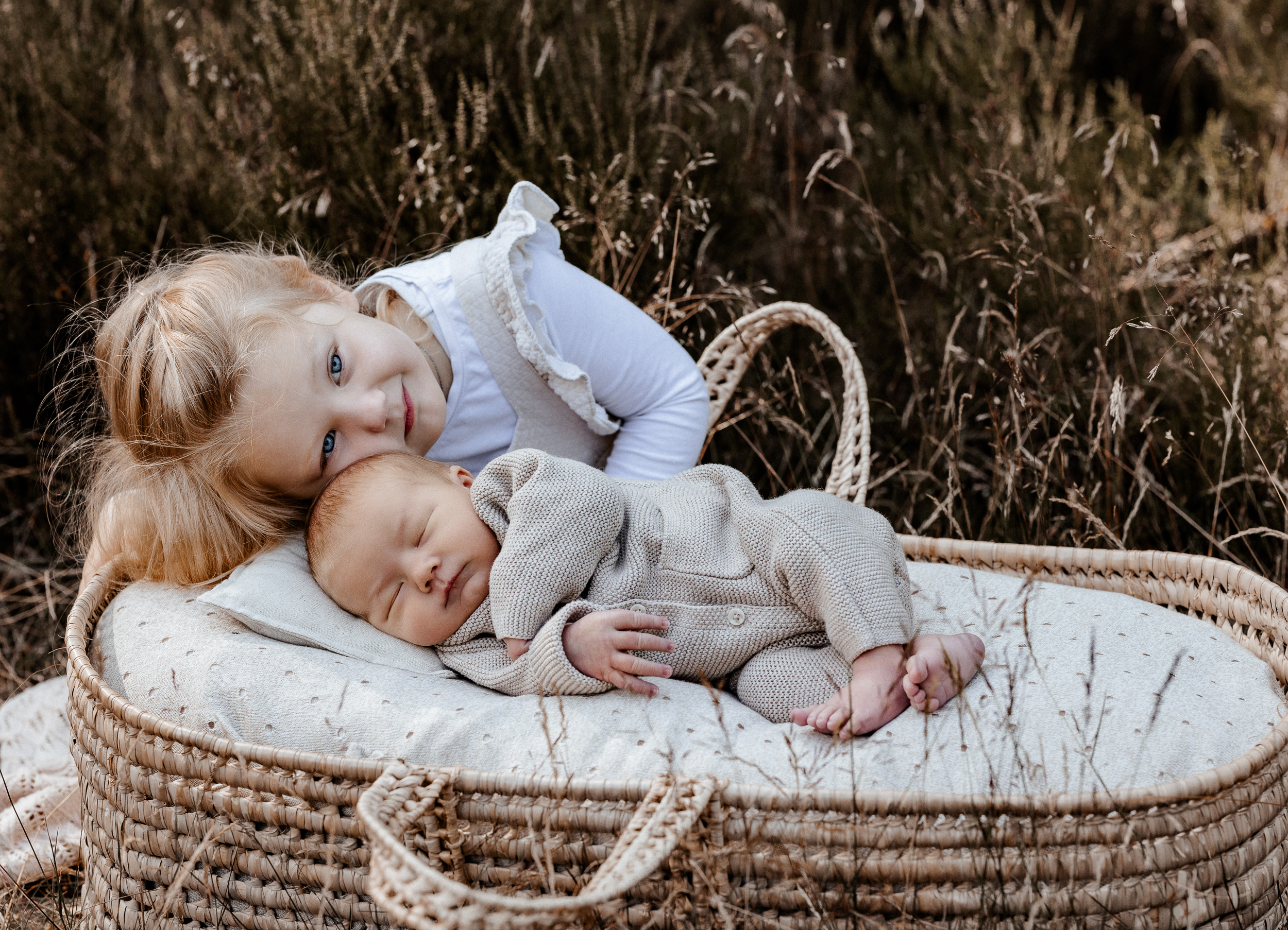 newbornshooting-emsland-7 Newbornshooting im Heidefeld im Emsland